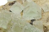Green, Cubic Fluorite Crystals on Calcite - Morocco #219279-2